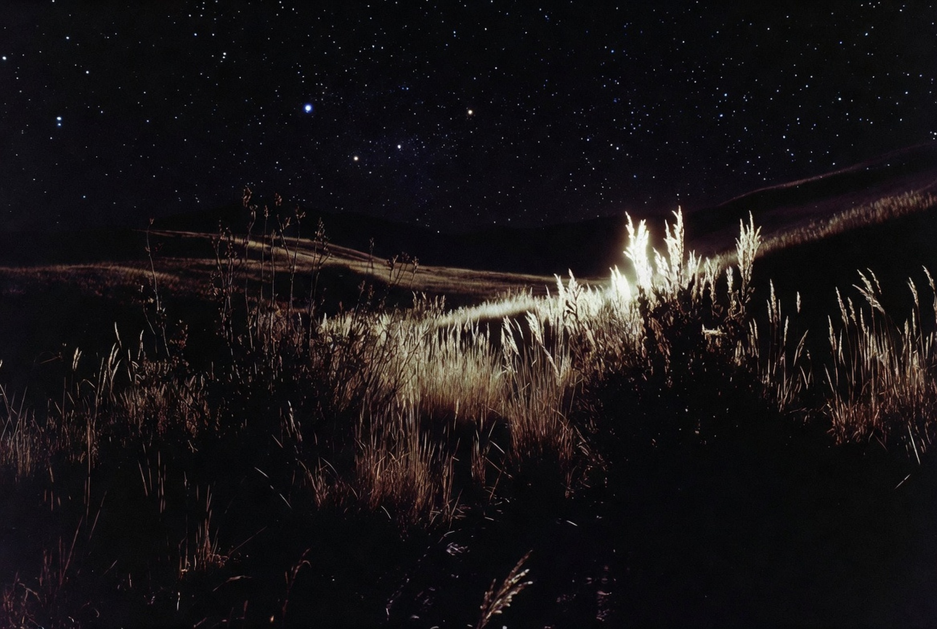 Tales from Surreality — Expansive surreal nebula landscape with glowing purple flora, where dreams bleed into the void
